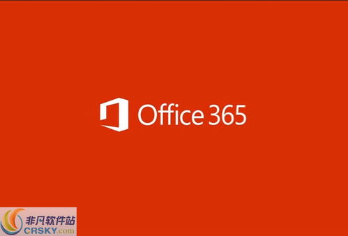 Office 365下载界面与云服务体验指南