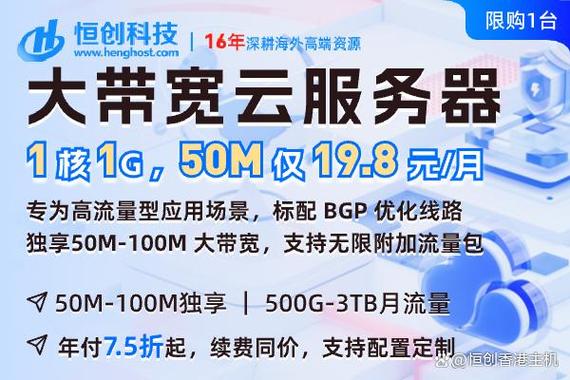 租用香港大带宽云服务器遭遇恶意刷流量怎么办?